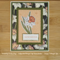 2024/03/10/Calypso_Daffodil_Watermarked_by_DStamps.jpg