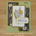 2024/03/12/Daffodil_Easter_Blessings-SCS_Watermarked_by_DStamps.jpg