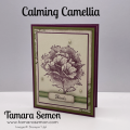 Calming_Ca