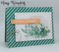 2021/12/15/Stampin_Up_Garden_Greenhouse_-_Stamp_With_Amy_K_by_amyk3868.jpeg