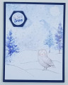 2021/12/29/Snowy_Owl_by_JRHolbrook.jpg