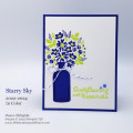 2022/05/26/Bottled_Happiness-Starry_Sky_by_dostamping.jpeg
