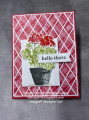 2022/05/19/Potted_Geraniums_Hello_small_by_Julestamps.JPG