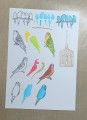 2023/09/12/Pretty_Birds_Index_by_fauxme.jpg