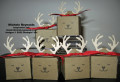 2022/09/19/design_a_treat_reindeer_candy_boxes_by_Michelerey.jpg
