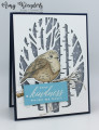 2022/12/01/Stampin_Up_Perched_In_A_Tree_-_Stamp_With_Amy_K_by_amyk3868.jpeg