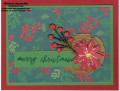 2023/10/17/ringed_with_nature_poinsettia_christmas_watermark_by_Michelerey.jpg