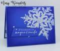 2022/11/11/Stampin_Up_Snow_Crystal_-_Stamp_With_Amy_K_by_amyk3868.jpeg
