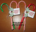 2022/12/08/sweet_candy_canes_tags_on_canes_watermark_by_Michelerey.jpg