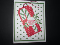 2024/05/27/DSCN6599_CCC24-Apr-Card_1_Sweetest_Christmas_Candy_Cane_Green:Blue_by_stampindoe.JPG