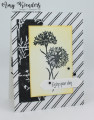 2022/06/30/Stampin_Up_Wonderful_World_-_Stamp_With_Amy_K_by_amyk3868.jpeg