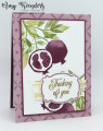 2022/07/02/Stampin_Up_Perfect_Pomegranate_-_Stamp_With_Amy_K_by_amyk3868.jpeg