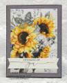 2022/05/31/7_17_22_Sunflowers_by_Vickie_Y.jpg