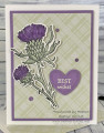 2024/02/23/Thistle_Love_by_Gadabout.jpg