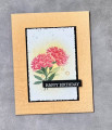 2023/02/15/Marigold_Moments_small_by_Julestamps.JPG