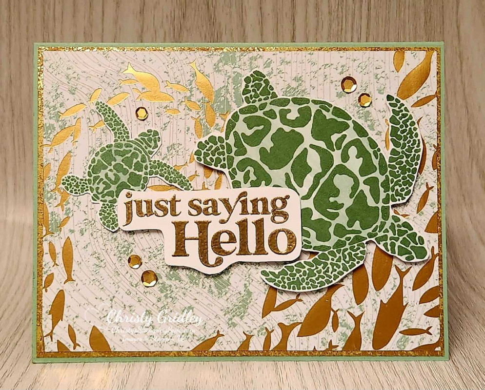 Sea Turtle Hello Card by Christyg5az at Splitcoaststampers