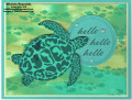 sea_turtle