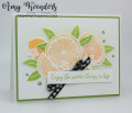 2023/02/12/Stampin_Up_Sweet_Citrus_-_Stamp_With_Amy_K_by_amyk3868.jpeg