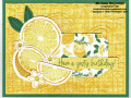 2023/04/05/sweet_citrus_zesty_lemons_birthday_watermark_by_Michelerey.jpg