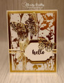 2023/02/15/Stampin_Up_Online_Exclusives_Naturally_Gilded_Specialty_DSP_Brilliant_Wings_Card_11_by_Christyg5az.jpg