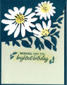 2023/10/04/0923-Brightest_Birthday_by_susie_nelson.jpg