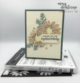 2024/03/11/Stampin_Up_Cheerful_Daisies_Zinnia_Birthday_Card_-_Stamps-N-Lingers0000_by_Stamps-n-lingers.png
