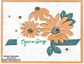2024/06/10/cheerful_daisies_peach_daisy_oops_watermark_by_Michelerey.jpg