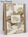 2023/08/05/Stampin_Up_Autumn_Leaves_-_Stamp_With_Amy_K_by_amyk3868.jpeg