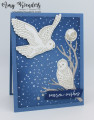 2023/08/30/Stampin_Up_Winter_Owls_-_Stamp_With_Amy_K_by_amyk3868.jpeg