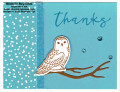 2023/12/21/winter_owls_owl_on_branch_thanks_watermark_by_Michelerey.jpg