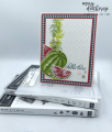 2023/12/07/Stampin_Up_Softly_Sophisticated_Watercolor_Melon_Sneak_Peek_-_Stamps-N-Lingers3_by_Stamps-n-lingers.png
