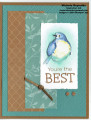 2024/02/03/hooray_for_surprises_best_bird_watermark_by_Michelerey.jpg