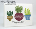 2023/12/08/Stampin_Up_Planted_Paradise_-_Stamp_With_Amy_K_by_amyk3868.jpeg