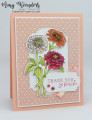 2024/02/19/Stampin_Up_Simply_Zinnia_-_Stamp_With_Amy_K_by_amyk3868.jpeg
