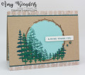 2024/03/14/Stampin_Up_Encircled_In_Nature_-_Stamp_With_Amy_K_by_amyk3868.jpeg
