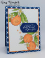 2024/03/19/Stampin_Up_Citrus_Blooms_-_Stamp_With_Amy_K_by_amyk3868.jpeg