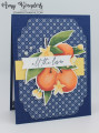 2024/05/17/Stampin_Up_Citrus_Blooms_-_Stamp_With_Amy_K_by_amyk3868.jpeg