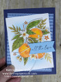 2024/05/24/Citrus_Blooms_stepped_up_1_by_lizzier.jpg