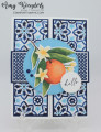 2024/05/30/Stampin_Up_Citrus_Blooms_-_Stamp_With_Amy_K_by_amyk3868.jpeg