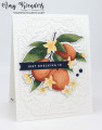 2024/06/23/Stampin_Up_Citrus_Blooms_-_Stamp_With_Amy_K_by_amyk3868.jpeg
