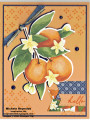 2024/06/25/citrus_blooms_shadowed_oranges_watermark_by_Michelerey.jpg