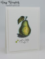2024/05/24/Stampin_Up_Penciled_Pear_-_Stamp_With_Amy_K_by_amyk3868.jpeg