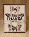 2024/05/24/Sketched_Butterflies_Thanks_Card_1_by_Christyg5az.jpg