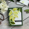 2024/06/12/Stampin_Up_Changing_Leaves_thank_you_-_June_2024_4_by_APMCreations.png