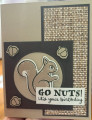 2026/06/04/WT1108_Squirrels_go_wild_by_CAR372.jpg