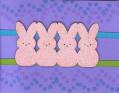 2005/03/24/bunnies.jpg