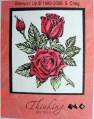 2006/03/23/Red_Roses_and_Lace_small_by_bensarmom.jpg