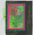 2005/05/21/melted_crayon_bloom.jpg