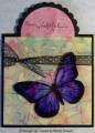 2007/05/19/IC76_mms_wonderful_butterfly_by_lacyquilter.jpg