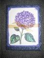 2006/06/22/Sympathy_Cards_009-650_rot_by_stampwithsue2.jpg